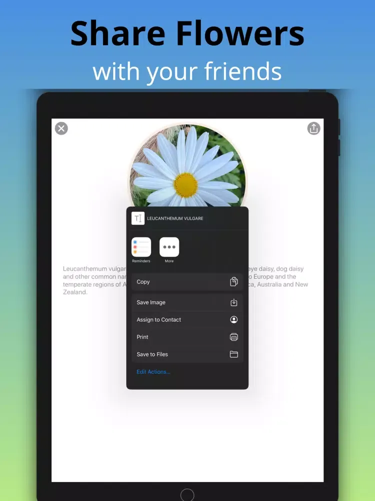 What Flower - Plant Identifier iPad  스크린샷