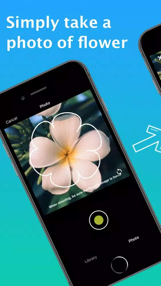 What Flower - Plant Identifier 스크린샷