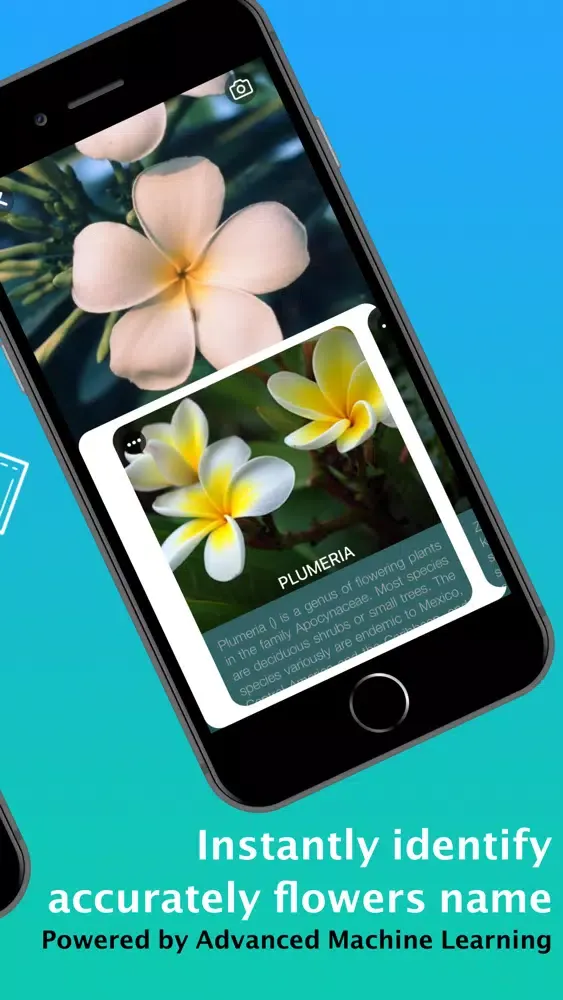 What Flower - Plant Identifier 스크린샷