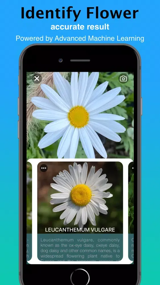 What Flower - Plant Identifier 스크린샷