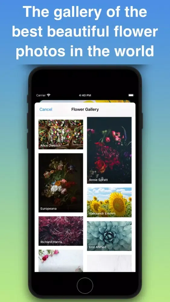 What Flower - Plant Identifier 스크린샷