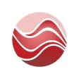 Seaport Auctions Seaport Auctions