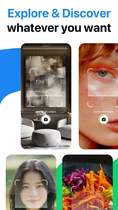 Tangkapan skrin Lens: Translate & Image Search
