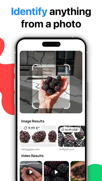 Tangkapan skrin Lens: Translate & Image Search