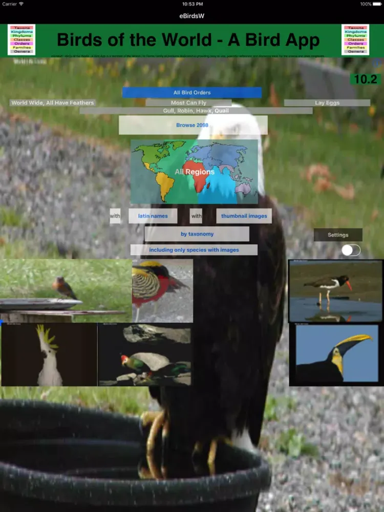 Birds of the World - eBirdsW - A Bird App iPad 应用截图