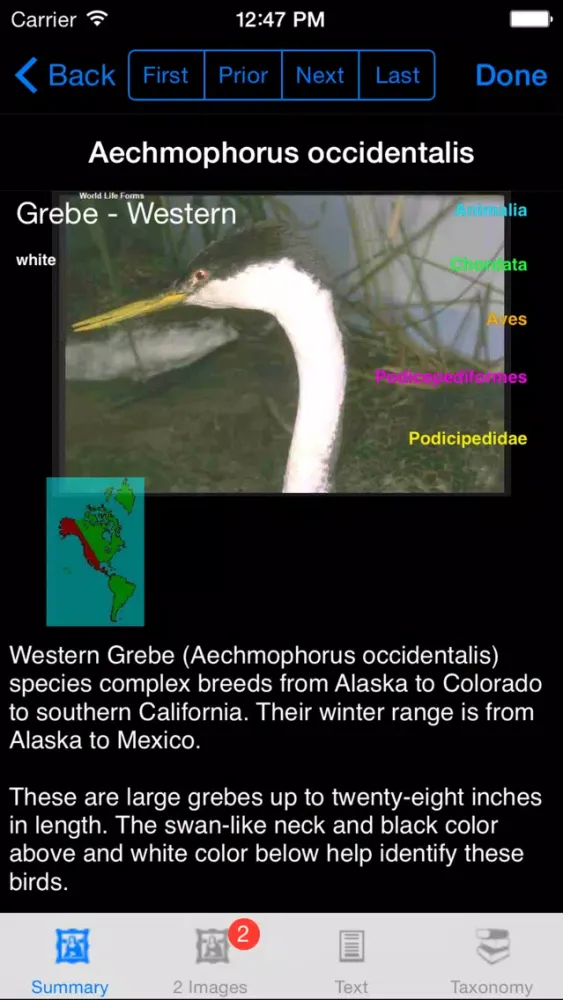Birds of the World - eBirdsW - A Bird App应用截图