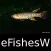 Fishes & Sharks of the World - A Fishes App