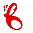 Boleci Boleci