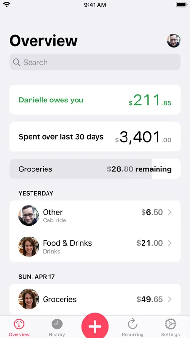 Our Expenses: Household Budget 스크린샷