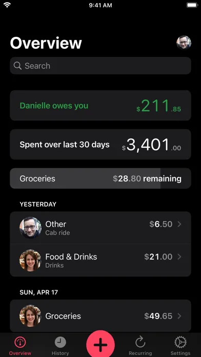 Our Expenses: Household Budget 스크린샷