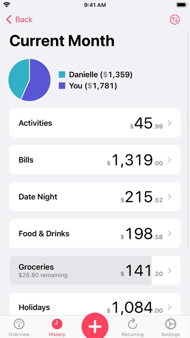 Our Expenses: Household Budget 스크린샷