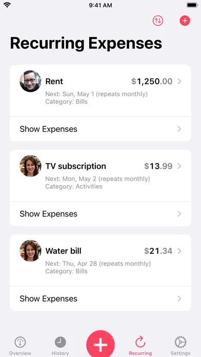 Our Expenses: Household Budget 스크린샷