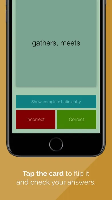 Erudio: Cambridge Latin Course Screenshots