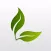 Leaf: stress-free productivity