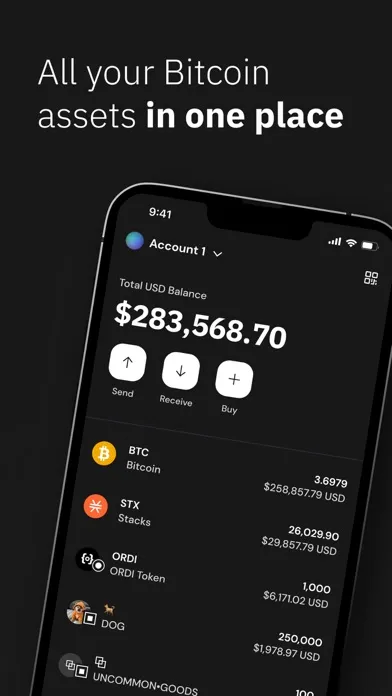 Xverse - Bitcoin Wallet应用截图