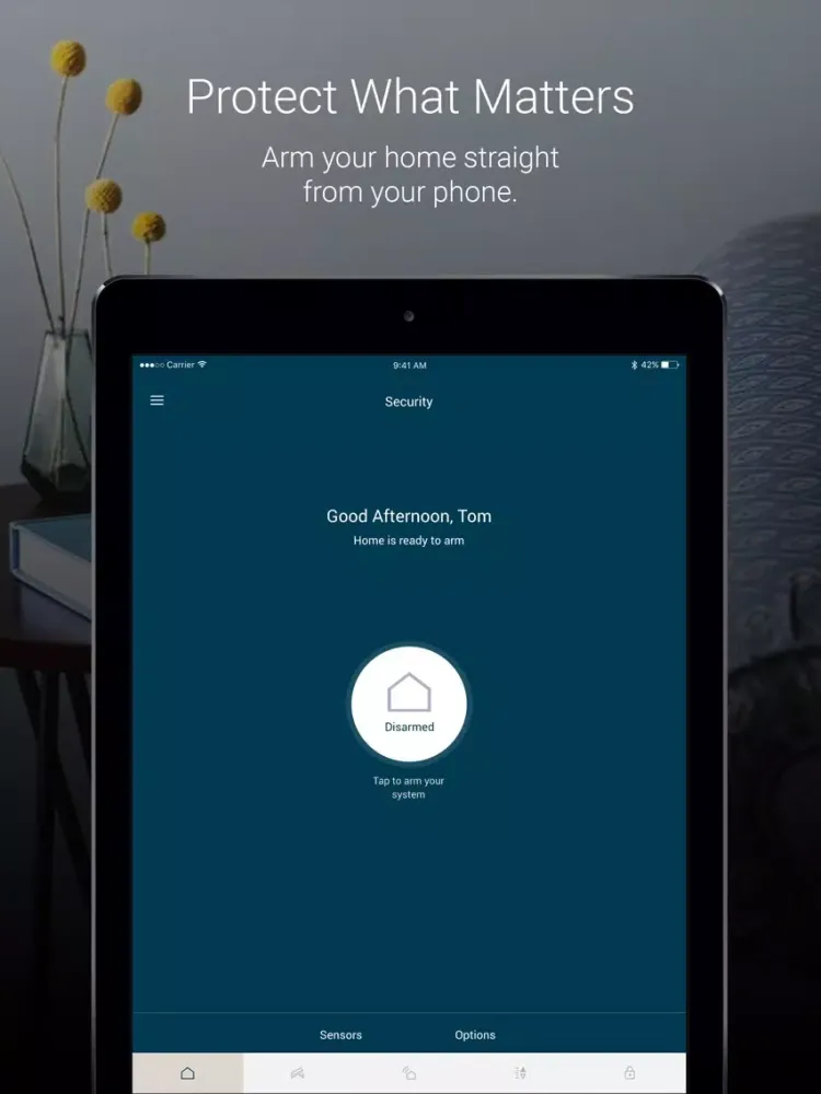 Pando Home iPad  Screenshots