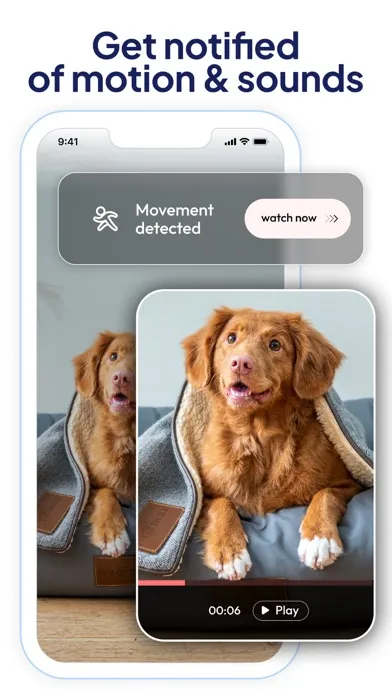 V380 Pro：Security Camera, CCTV 스크린샷