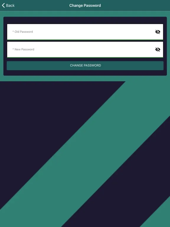 Screenshot di Xsealent iPad 