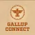 Gallup Connect