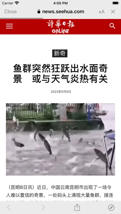 See Hua Online应用截图