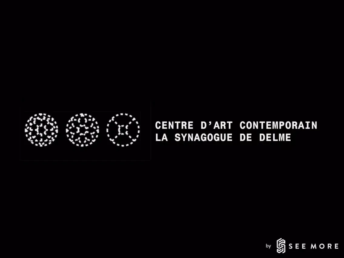 CAC - La synagogue de Delme iPad  Screenshots
