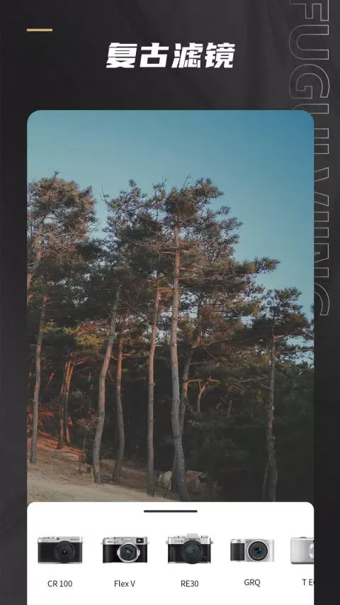 Capturas de pantalla de Remo复古相机