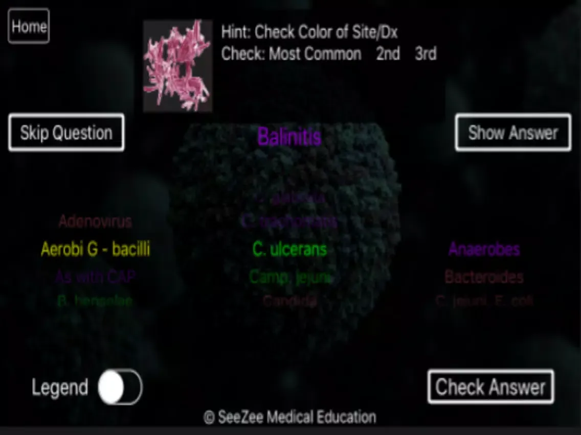 Ảnh chụp màn hình của SeeZees Bad Bugs iPad 
