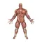 Seezees Mitey Muscles Actions