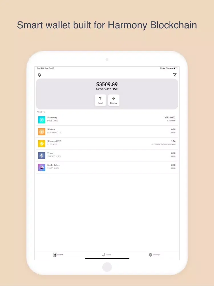 صور Sef Wallet iPad 