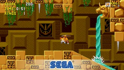 Sonic The Hedgehog Classic Ekran Görüntüleri