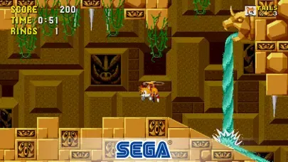 Sonic the Hedgehog™ Classic Ekran Görüntüleri