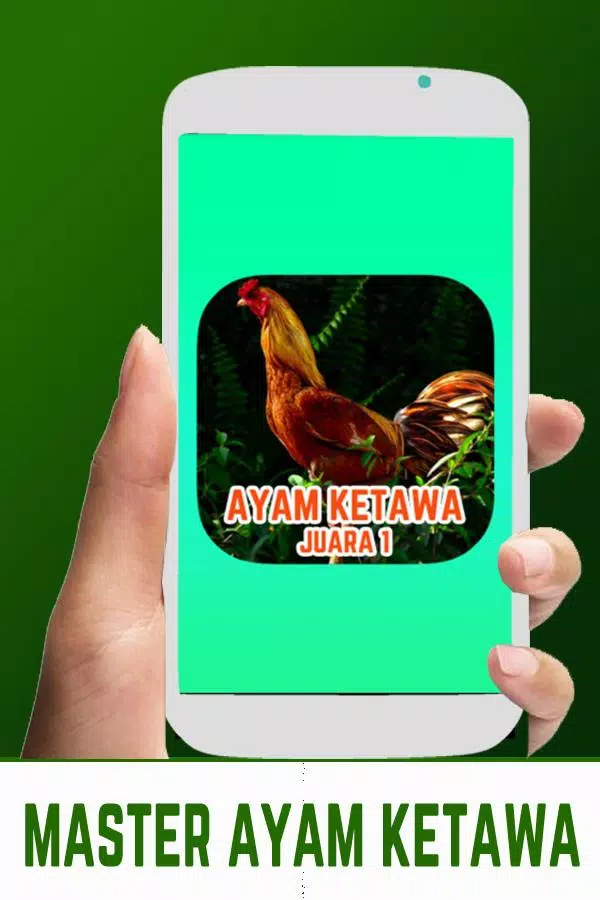 Master Suara Ayam Ketawa Juara Screenshots