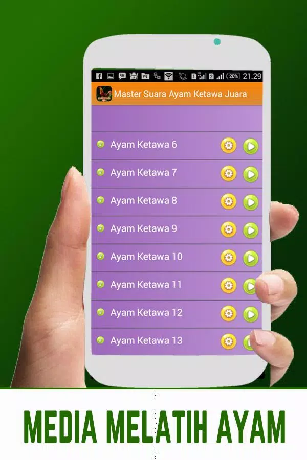 Master Suara Ayam Ketawa Juara Screenshots