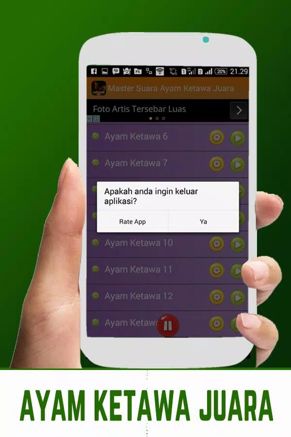 Master Suara Ayam Ketawa Juara Screenshots