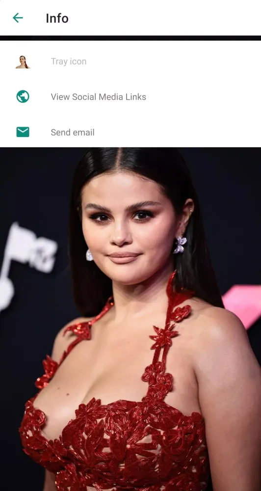 Selena Gomez WA Stickers App Screenshots