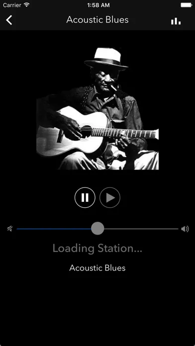 Blues Music Radio スクリーンショット