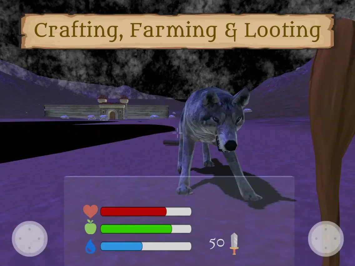 تصاویر Fantasy Worldcraft (FPS RPG) iPad 