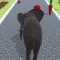 Animal Body Race Walking Game