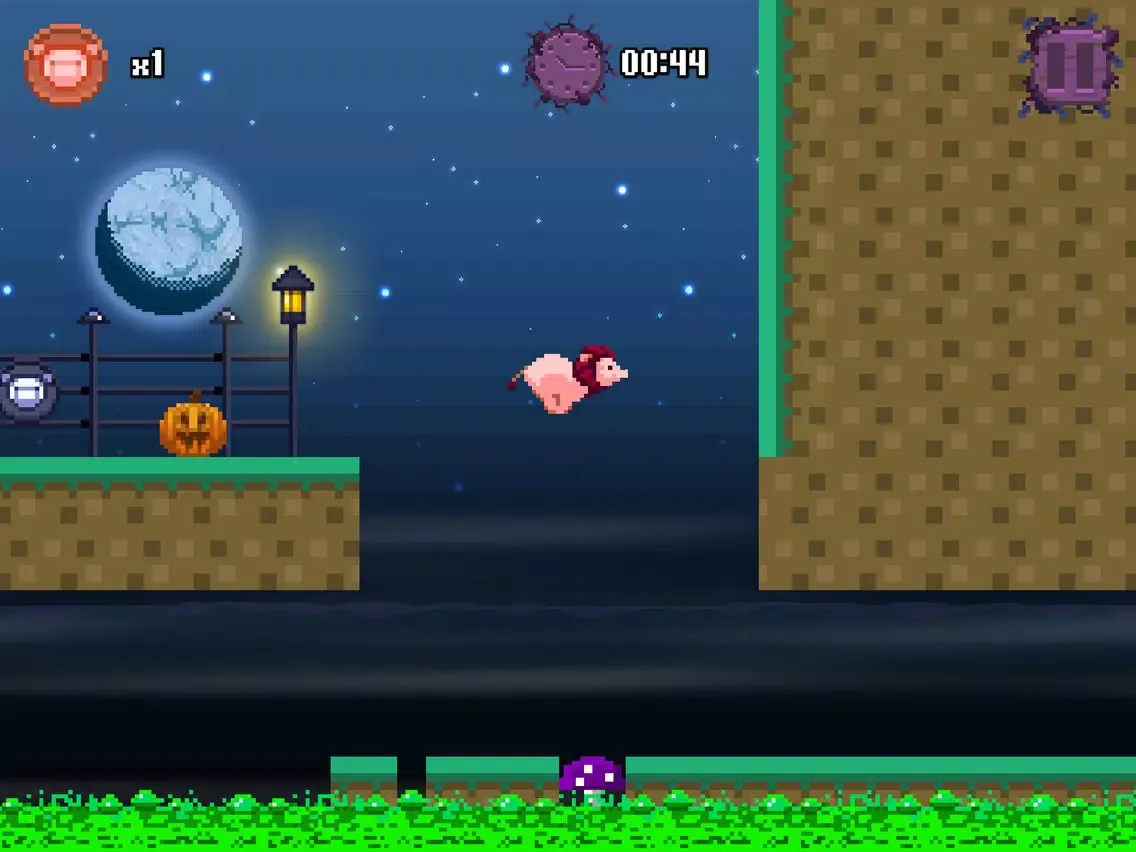 تصاویر Lion Pig iPad 