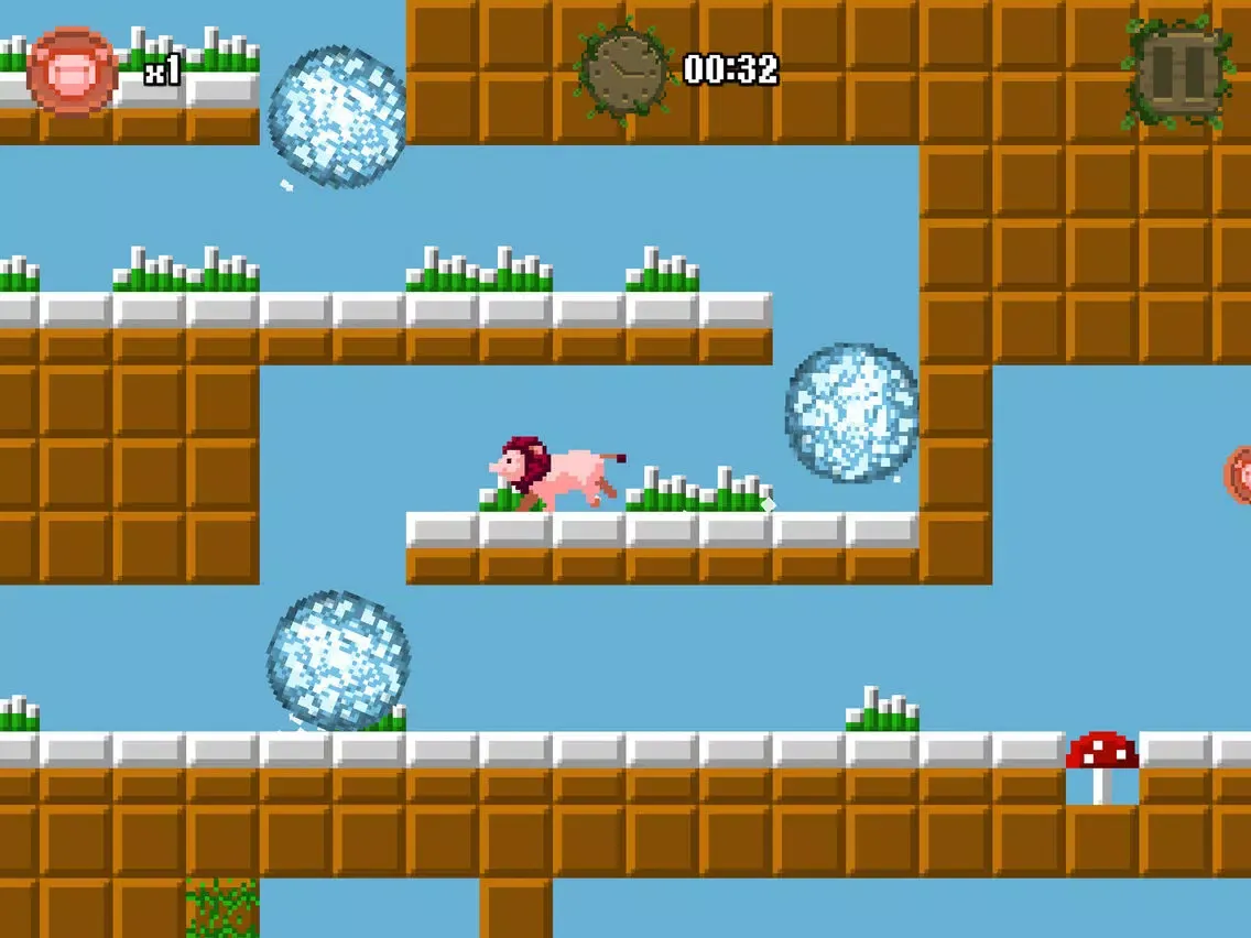تصاویر Lion Pig iPad 