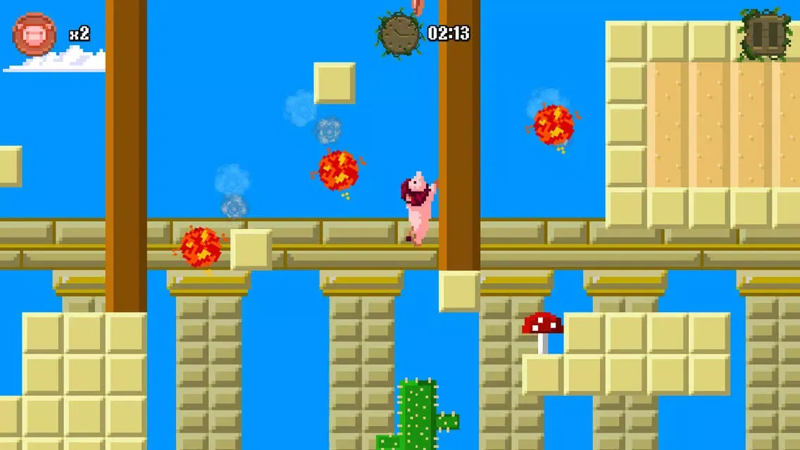 تصاویر Lion Pig