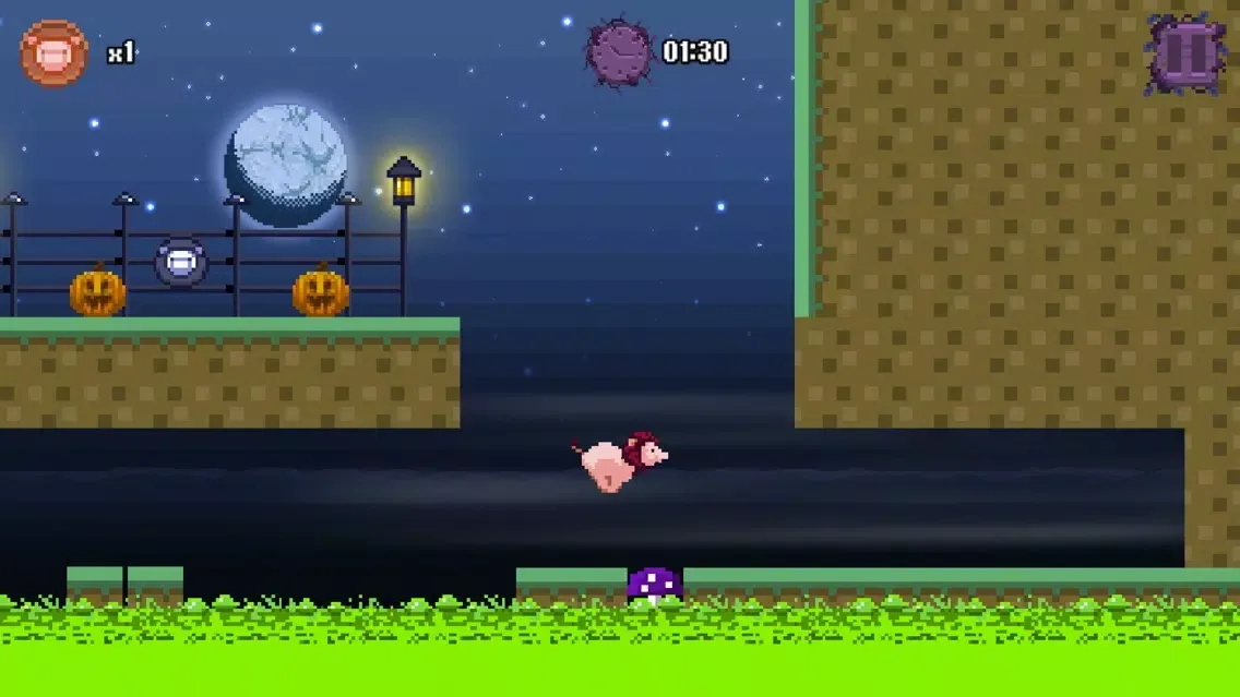 تصاویر Lion Pig