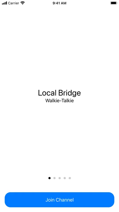 Local Bridge : Walkie-Talkie স্ক্রিনশট