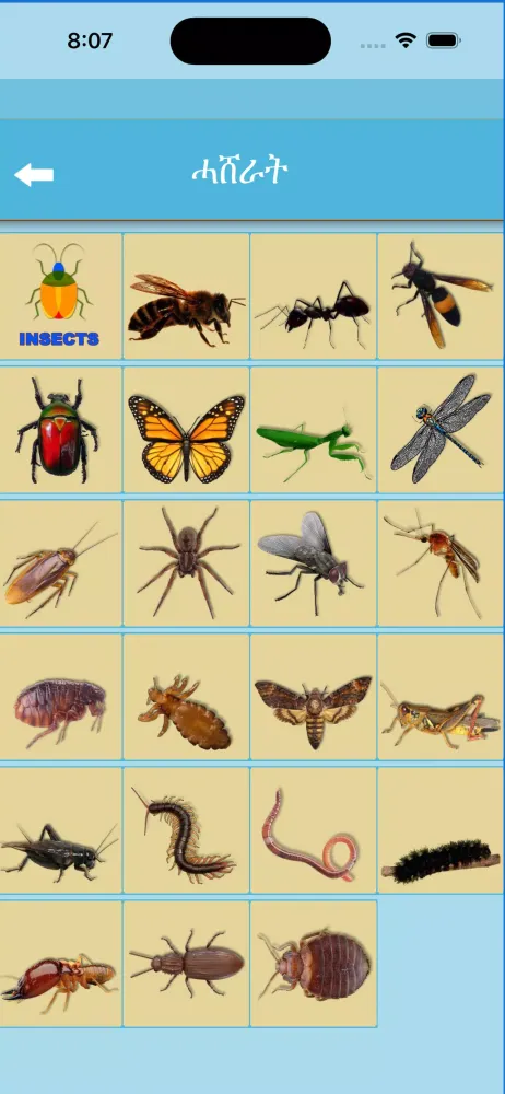Captures d'écran de Word Learner