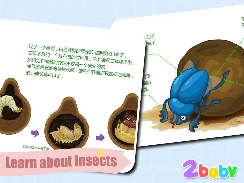 Dung beetle - InsectWorld A story book about insects for children iPad 應用截圖
