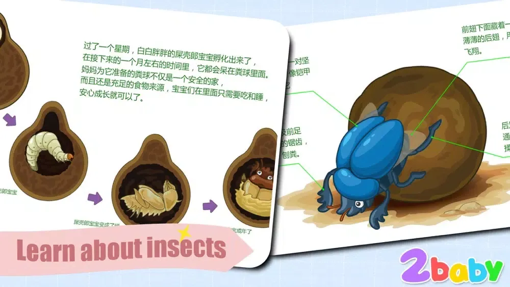 Dung beetle - InsectWorld A story book about insects for children應用截圖