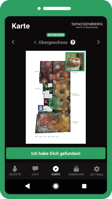 صور Mein Objekt - Senckenberg