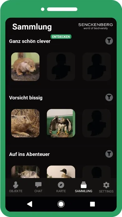 صور Mein Objekt - Senckenberg