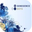SeneDOTS