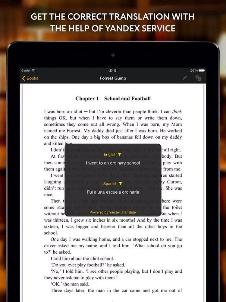 Diglot - EReader Translator for help language learners iPad 应用截图